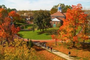 西新英格兰大学论文补习辅导