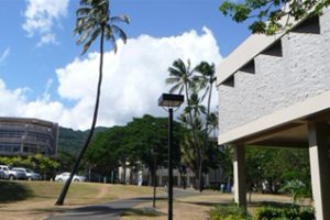 夏威夷大学马诺阿分校论文补习辅导