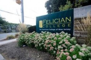 美国佛里森学院论文补习辅导