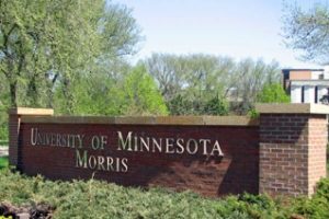 明尼苏达大学论文补习辅导