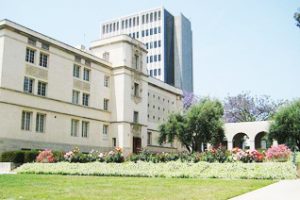 加州理工学院论文补习辅导