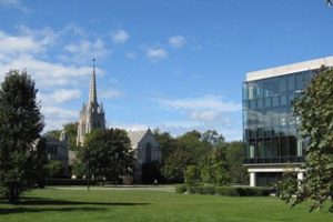 西北大学论文补习辅导