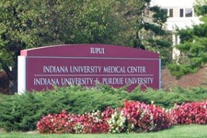 印第安纳大学科科莫分校论文补习辅导