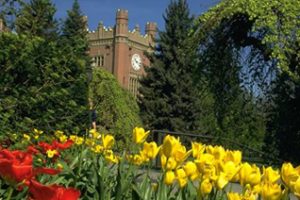 爱达荷大学论文补习辅导