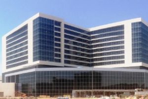 德克萨斯大学西南医学中心论文补习辅导