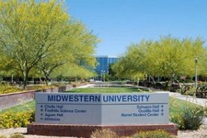 中西部大学论文补习辅导