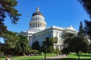 加州大学论文补习辅导