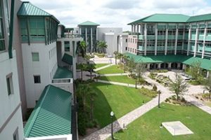 佛罗里达海湾海岸大学论文补习辅导