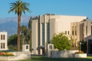 洛玛连达大学论文补习辅导