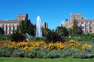 加州大学圣克鲁兹分校论文补习辅导