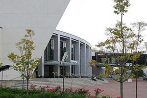 明尼苏达大学双城分校论文补习辅导