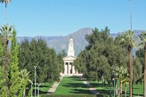 雷德兰兹大学论文补习辅导