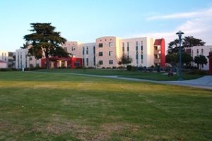 加州州立大学蒙特利湾分校论文补习辅导