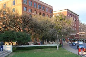 德克萨斯大学达拉斯分校论文补习辅导