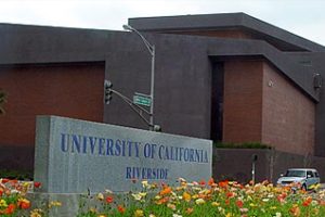 加州大学河滨分校论文补习辅导