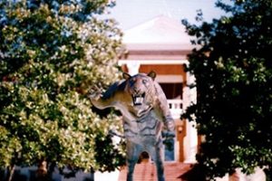 东中央大学论文补习辅导