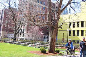 英国毕业论文高分写作关键