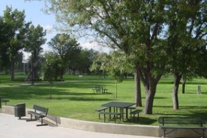 东新墨西哥大学论文补习辅导