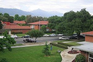 拉文大学论文补习辅导