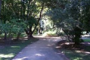 美国加州州立大学萨加门托分校论文补习辅导