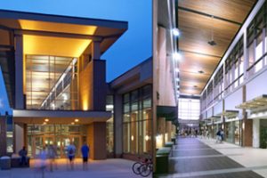 南达科他州立大学论文补习辅导