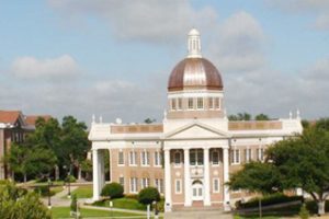 密西西比大学论文补习辅导