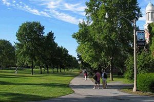 缅因大学论文补习辅导