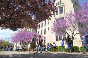 堪萨斯大学论文补习辅导