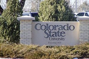 科罗拉多州立大学论文补习辅导