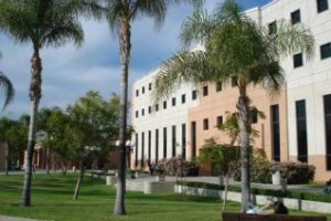 美国加州州立大学北岭分校论文补习辅导