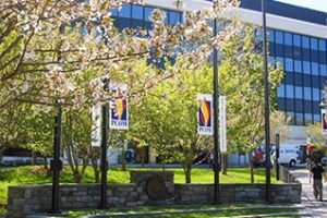 费城骨科医学院论文补习辅导