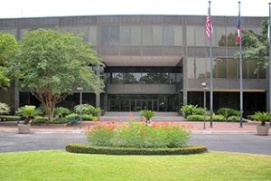 休斯顿大学清湖分校论文补习辅导