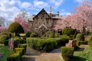 美国长岛大学论文补习辅导