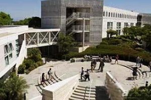 加州圣地亚哥艺术学院论文补习辅导