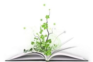 论文写作时需要注意的8大事项