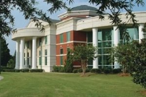 阿姆里奇大学论文补习辅导