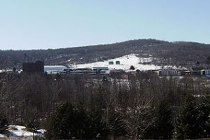 纽约州立大学德里学院论文补习辅导