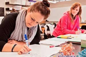 玛丽山大学论文补习辅导