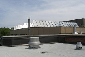 州长州立大学论文补习辅导