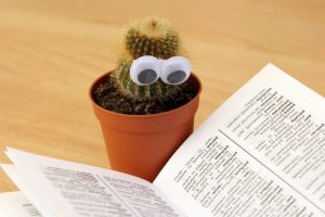 如何写出一篇优质的毕业论文