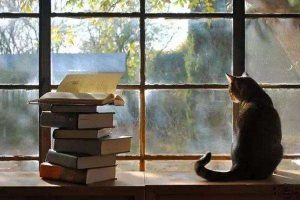 给大家分享一下SCI论文写作的经验