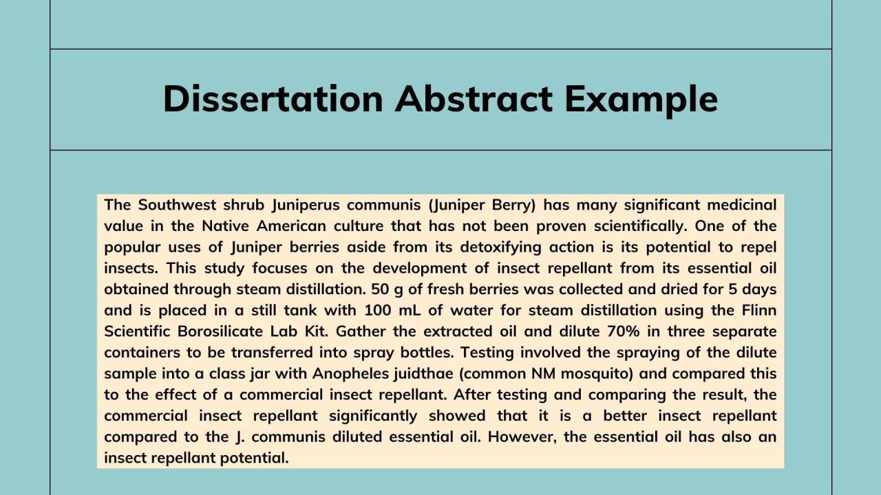 Dissertation Abstract