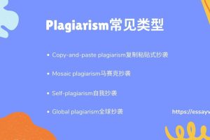 斯笔客教育解析Plagiarism常见类型英文论文降重技巧.