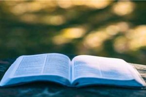 托伦斯大学挂科申诉