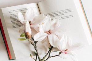 在国外大学中留学生：report的作业辅导