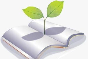 论文润色大概需要多久?