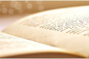 文献综述和参考文献有什么不同？