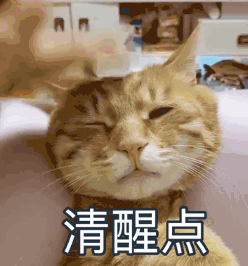 自动草稿