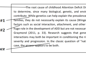 留学生如何写5段作文「作文技巧」