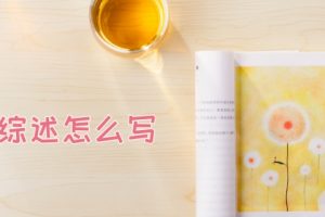 文献综述怎么写